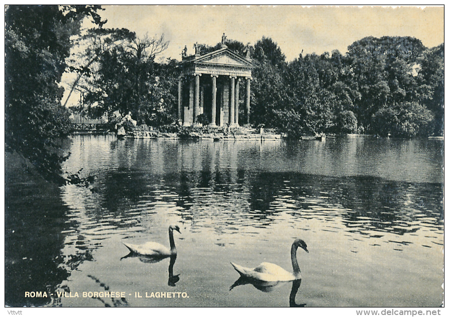 ITALIE, ROMA, ROME : Villa Borghese, Il Laghetto, Le Petit Lac (non Circulée) - Parks & Gardens