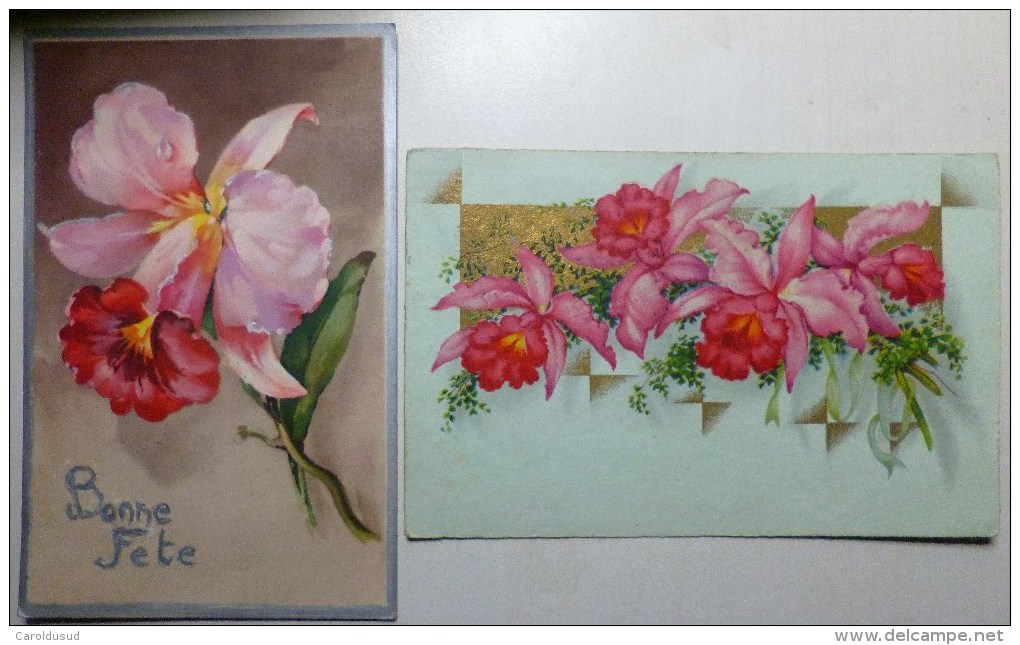 Lot 2x Litho ILLUSTRATEUR COLOPRINT KLEIN + BEGRO Dorure Orchidees Orchidee 1X Voyagé 1932 Antwerpen Timbre Flamme Sucre - Flores