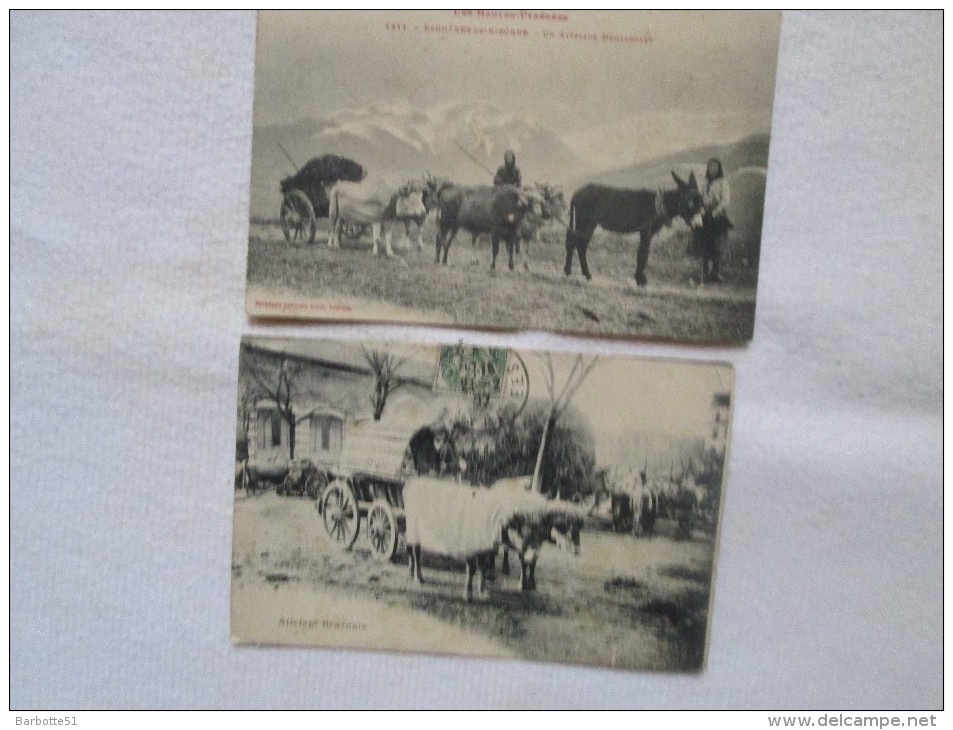 Attelages De Boeufs Et âne 1 Carte Hautes-Pyrénées Et Attelage Béarnais  Voir Scans - Autres & Non Classés