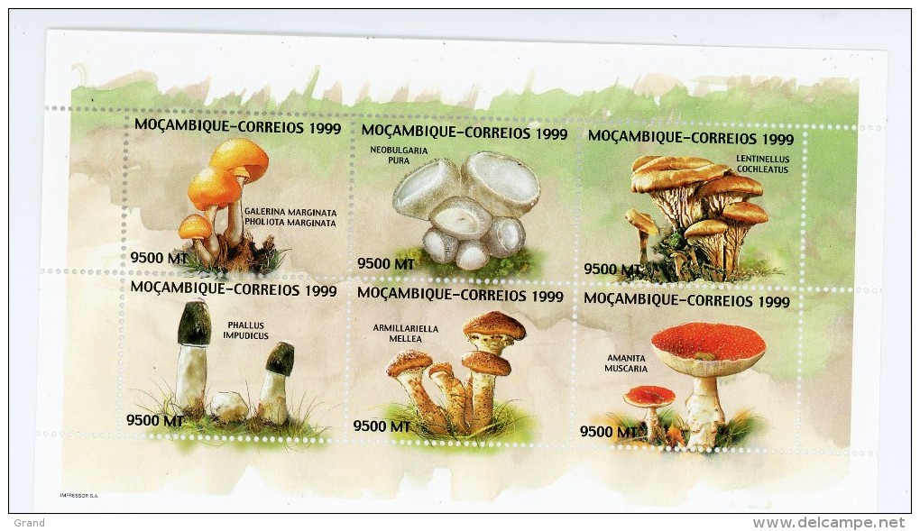 Mozambique 1999-Champignons-YT 1396/101***MNH - Pilze