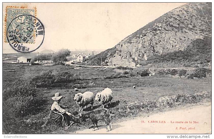 Carolles    50     Route De La Mer. Gardienne De Moutons - Other & Unclassified