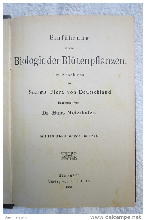 Dr. Hans Meierhofer "Biologie Der Blütenpflanzen" Von 1907 - Nature