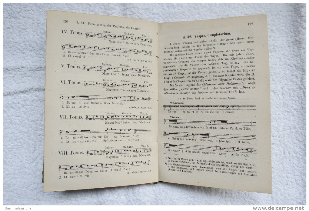 Franz Xaver Haberl "Magister Choralis" Theoretisch-praktische Anweisung Zum Gregorianischen Kirchengesange, Von 1877 - Musique