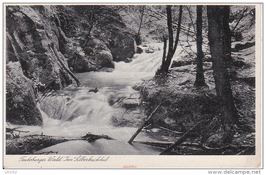 AK Teutoburger Wald - Im Silberbachtal - 1937 (20275) - Detmold