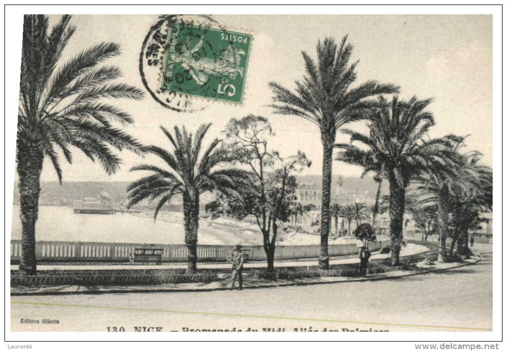 (DEL 716) Very Old Postcard - WWI Era - France - Nice Palm Tree - Arbres