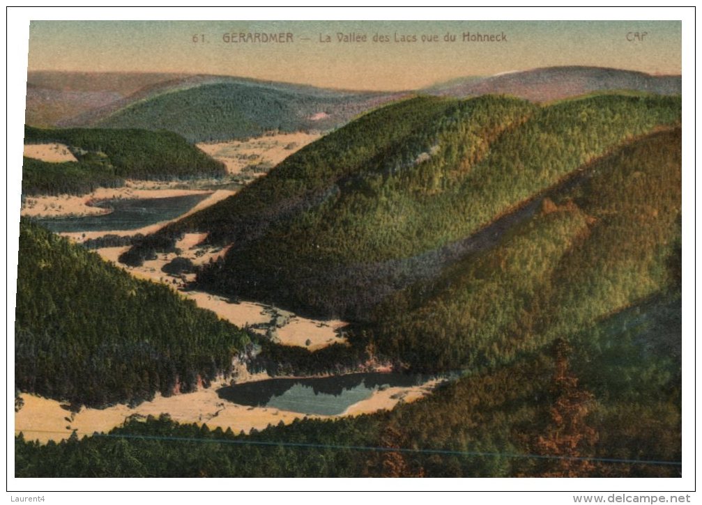 (DEL 716) Very Old Postcard - WWI Era - France - Gerardmer Vallée Des Lacs - Árboles