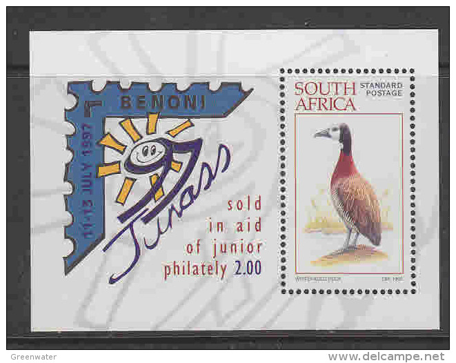 South Africa 1997 Junass / Whitefaced Duck M/s ** Mnh (20923) - Blocs-feuillets