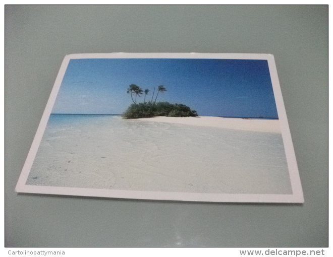 STORIA POSTALE FRANCOBOLLO COMMEMORATIVO UCCELLO BIRD MALDIVES SPIAGGIA - Maldive