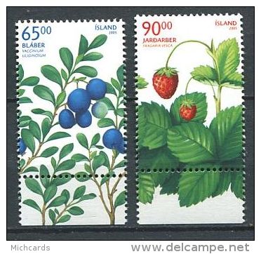 153 ISLANDE 2005 - Fruit Myrtille Fraise (Yvert 1034/35) Neuf ** (MNH) Sans Trace De Charniere - Unused Stamps