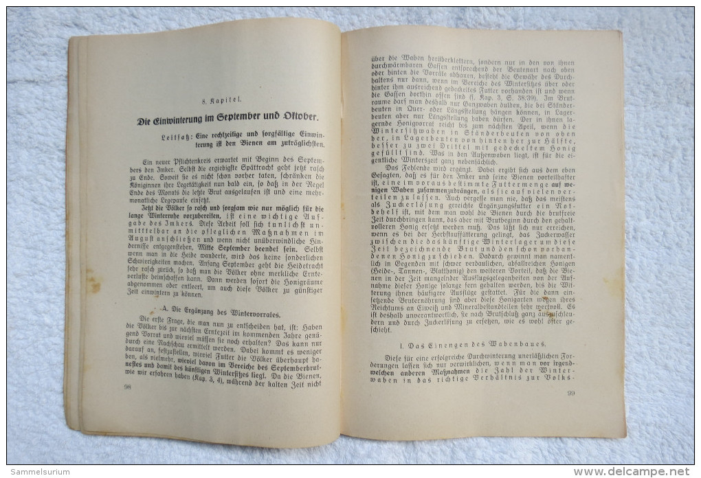 Prof.Dr. Enoch Zander-Erlangen "Leitfaden Einer Zeitgemäßen Bienenzucht" Von 1927 (Das Bayerische Bienenbuch) - Animales