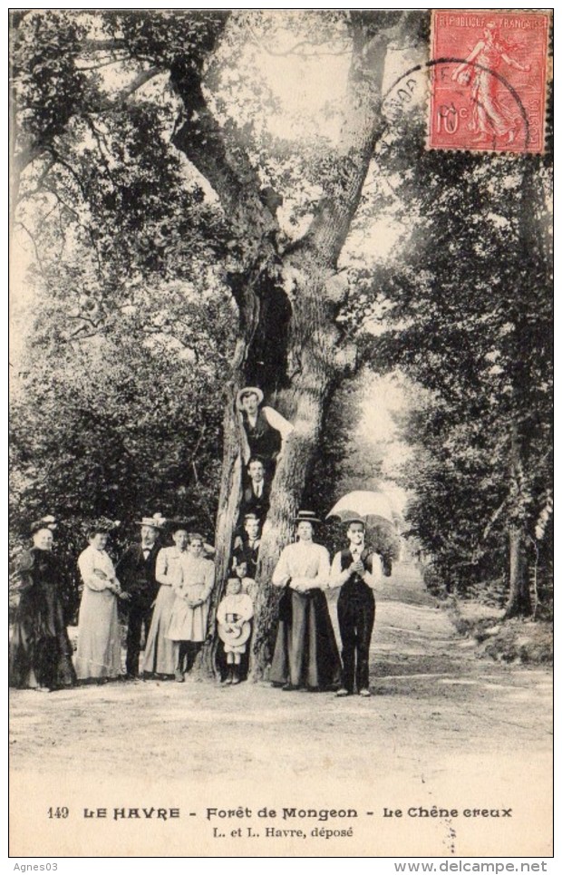 LE  HAVRE     Le Chene Creux - Forêt De Montgeon