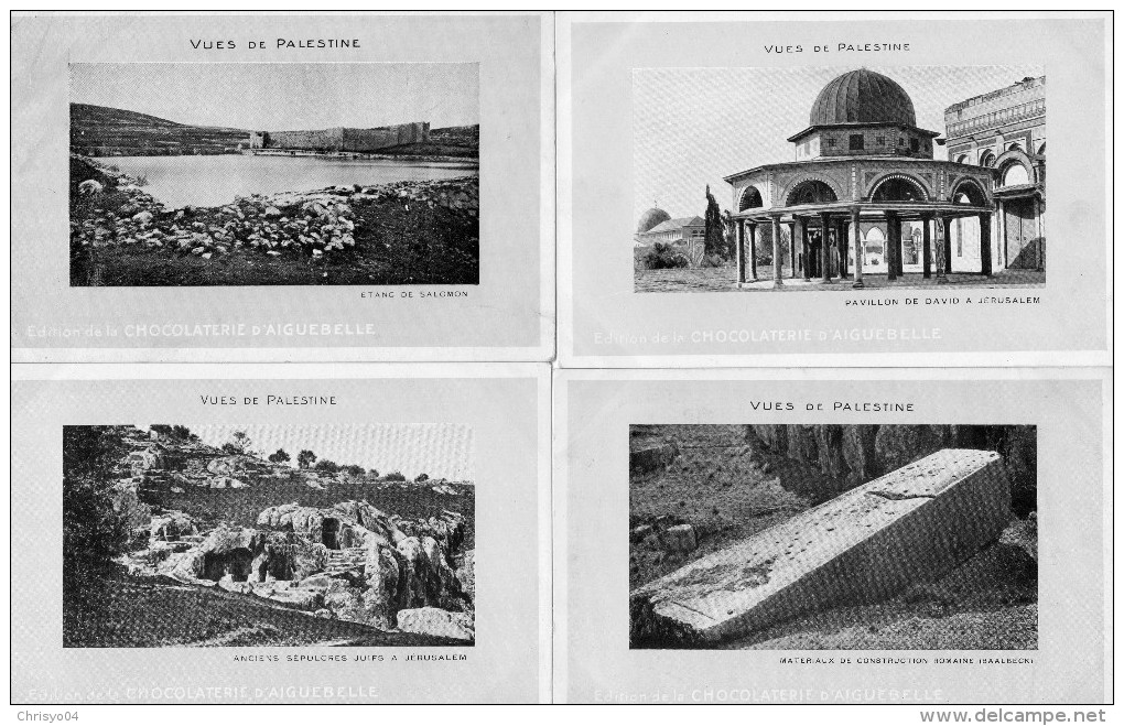 511Bd   Palestine Serie Lot De 12 Cpa - Palestine