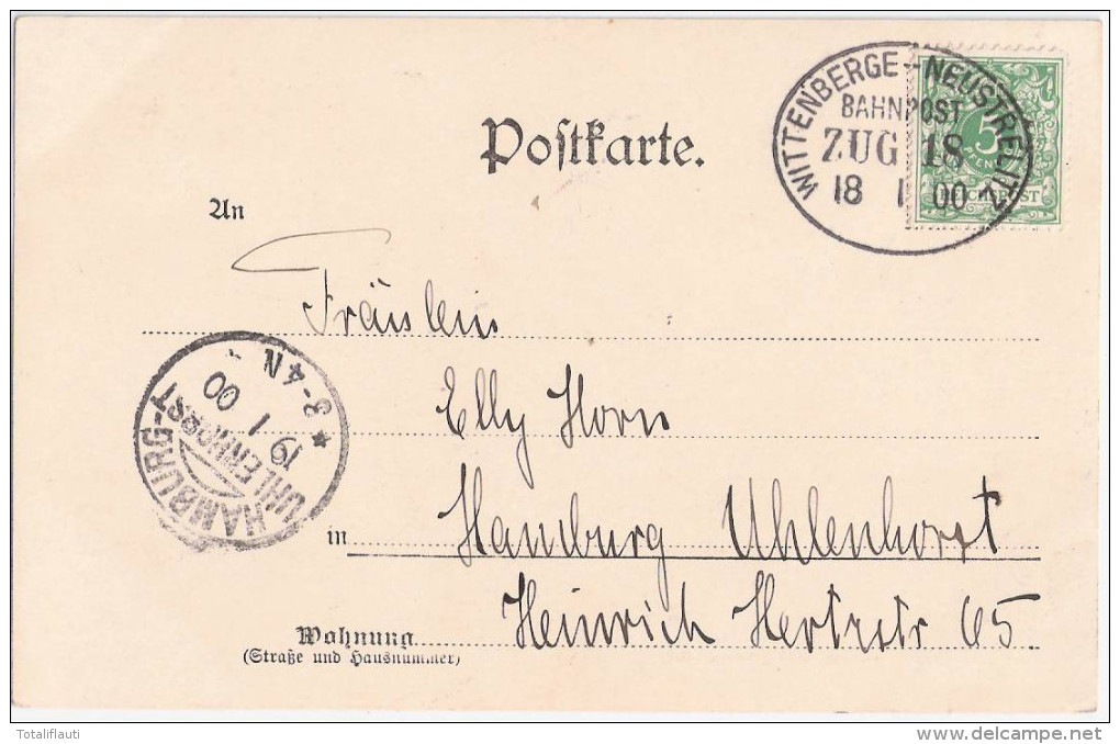 GROSS ROGE Bei Teterow Bauerngehöft Private Fotokarte Bahnpost ZUG 18 Gelaufen 18.1.1900 - Teterow