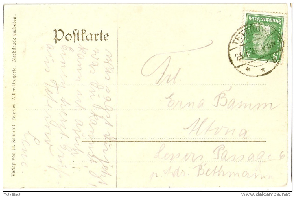 TETEROW Mecklenburg Friedrich Franz Strasse Belebt Karte Aus Der Zeit Um 1905 Ungeteilte Rückseite - Teterow