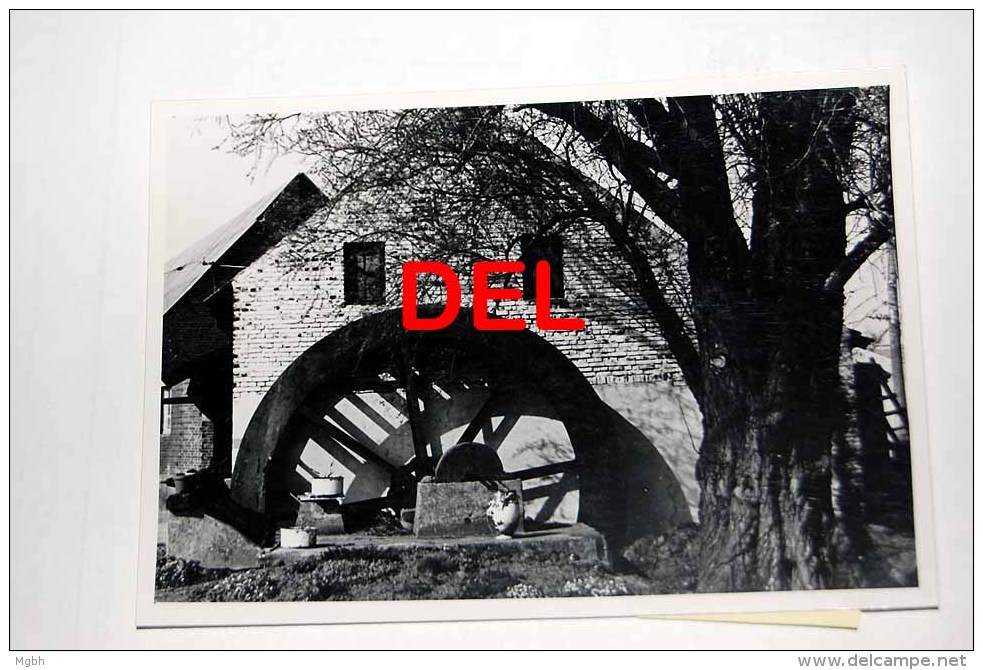 Bocholt  Molen - Photo Originale Des Années 1960-1970 - Bocholt