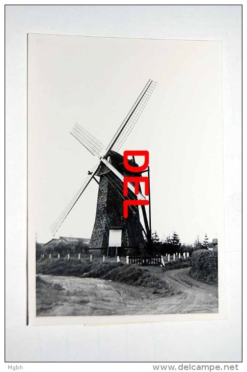 Arendonck  Molen - Photo Originale Des Années 1960-1970 - Arendonk