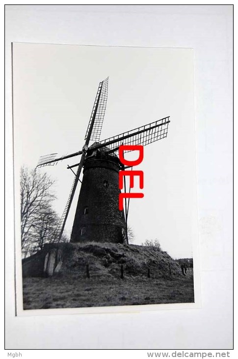 Pulderbos  Molen - Photo Originale Des Années 1960-1970 - Zandhoven