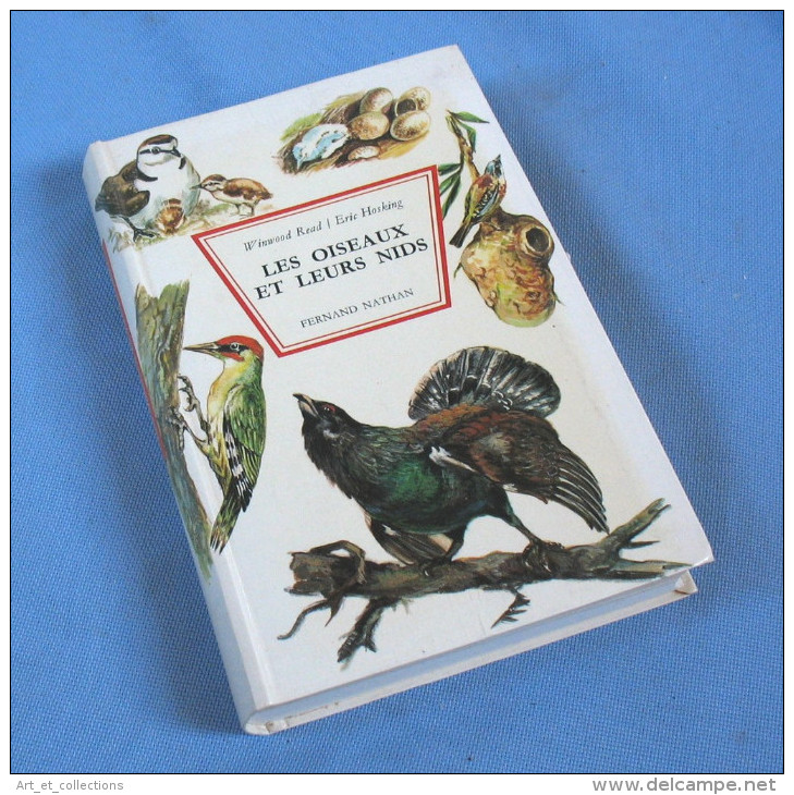 Les Oiseaux Et Leurs Nids / Nathan éditeur 1968 - Animaux