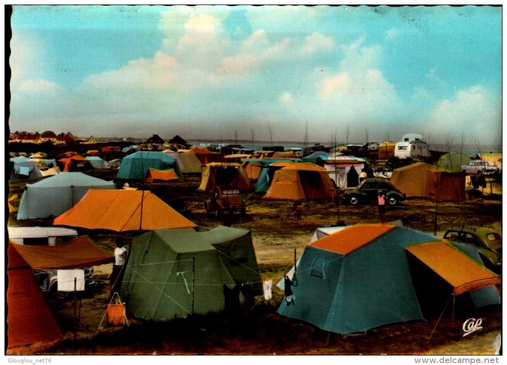 14-FRANCEVILLE..LE CAMPING DE L'OASIS...CPSM GRAND FORMAT ANIMEE - Autres & Non Classés