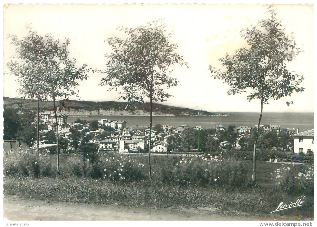 CPSM       Hendaye  Vue Générale  Le Cap Du Figuier         P  2234 - Hendaye