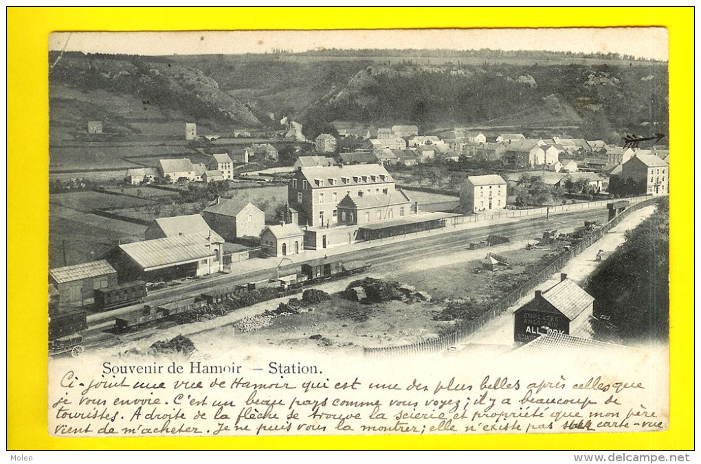 LA GARE Des Chemins De Fer Avec Train SOUVENIR HAMOIR - Circulée : 1903 - STATION Met Trein    I31 - Hamoir