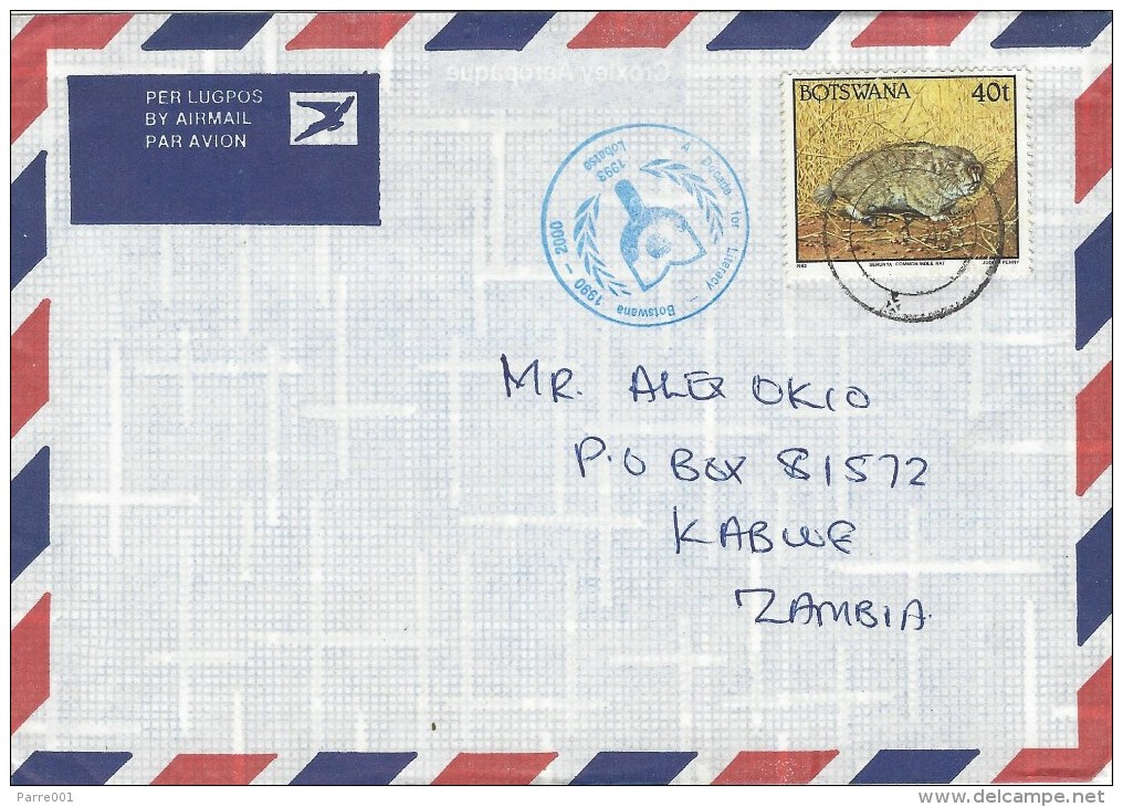 Botswana 1993 Lobatse Mole Rat Decade For Literacy Handstamp And Sticker On Cover - Botswana (1966-...)