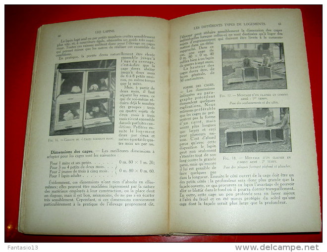 Les Lapins   Ponsignon / Riu   1938  Anatomie Physiologie Elevage Races - Animaux