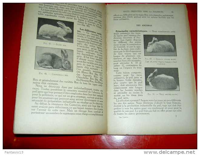 Les lapins   Ponsignon / Riu   1938  Anatomie Physiologie Elevage Races
