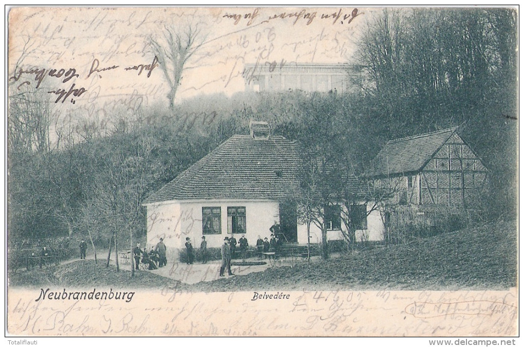 NEUBRANDENBURG Belvedere Belebt Grünlich 5.6.1905 Ankunft In CRIVITZ - Neubrandenburg