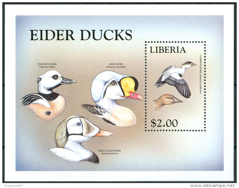 1998 Liberia Uccelli Birds Vogel Oiseaux Anatre Ducks Canards Block MNH** A80 - Fattoria