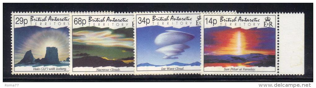 Z729 - ANTARTIC 1992 , Serie N. 219/222  *** MNH . - Nuovi