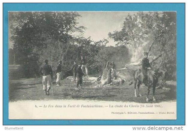 CPA 4 Catastrophe En 1904 Feu Dans La Forêt De ONTAINEBLEAU La Chute De L'arbre CLOVIS 77 - Fontainebleau