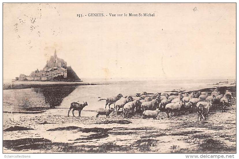 Genêts     50      Vue Sur Le Mont St Michel - Sonstige & Ohne Zuordnung