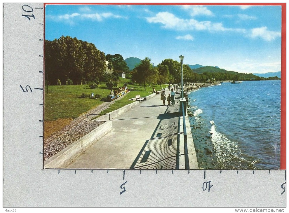 CARTOLINA NV ITALIA - LUINO (VA) - Lago Maggiore - Lungo Lago - 10 X 15 - Luino