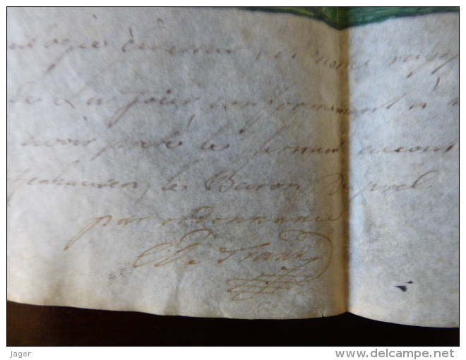 Rare Manuscrit Sur Parchemin  Aquarellée Arbre Généalogique Blason  XVIII Eme - Manuskripte