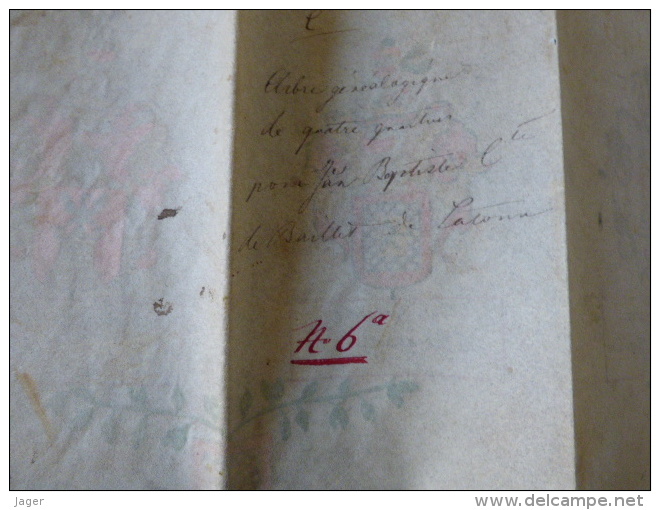 rare manuscrit sur parchemin  aquarellée arbre généalogique blason  XVIII eme