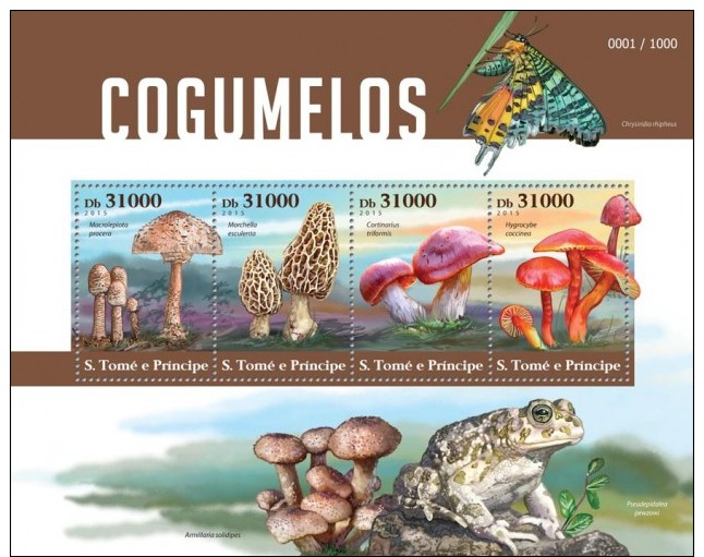 Z08 ST15403a Sao Tome And Principe 2015 Mushrooms MNH - São Tomé Und Príncipe