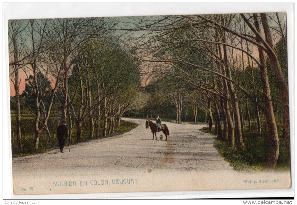 Uruguay Montevideo Tarjeta Postal Ed. Strobach N&ordm;73 Avenida Colon Original Ca1900 Postcard Cpa Ak (W4_1827) - Uruguay