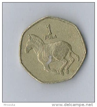 1 Pula 1991 Botswana - Botswana