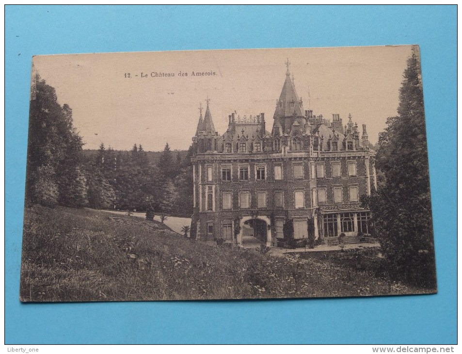 Le Château Des Amerois ( 12 ) - Anno 19?? ( Zie Foto Voor Details ) ! - Bouillon