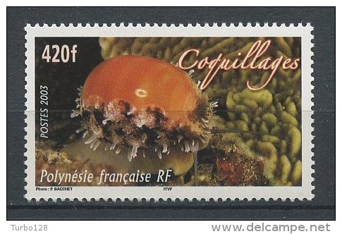 POLYNESIE 2003  N° 695 ** Neuf = MNH  Superbe Coquillage Faune Marine Shells Fauna - Unused Stamps