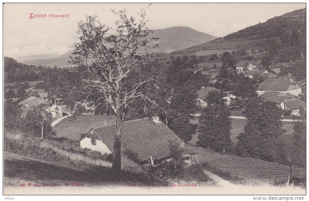 Lusse  Vue Generale De La Parriée - Provencheres Sur Fave