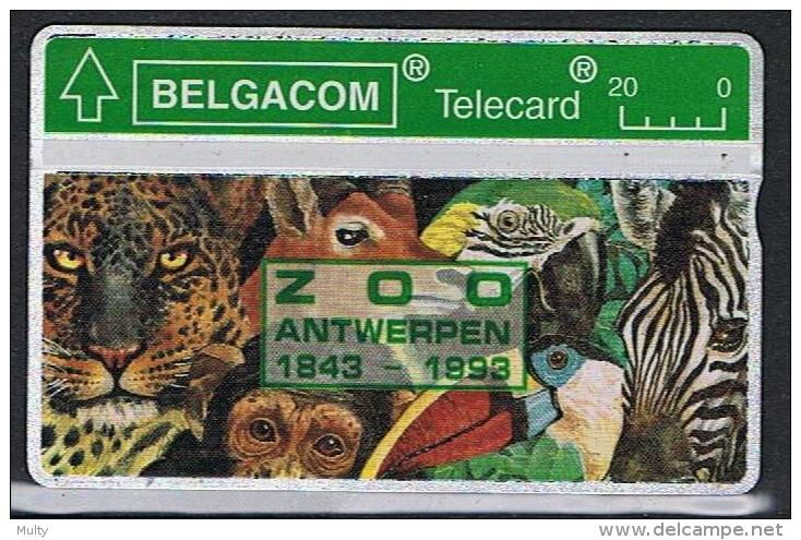 Belgacom ZOO Antwerpen Serienummer 304E - Sans Puce