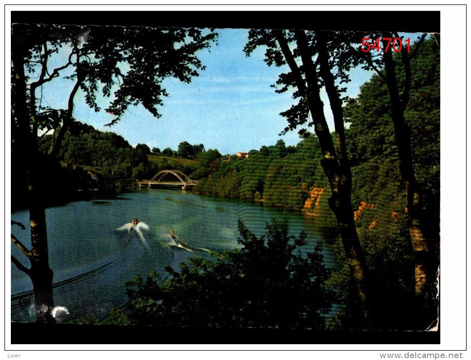 Ski Nautique En Riviere - Water-skiing