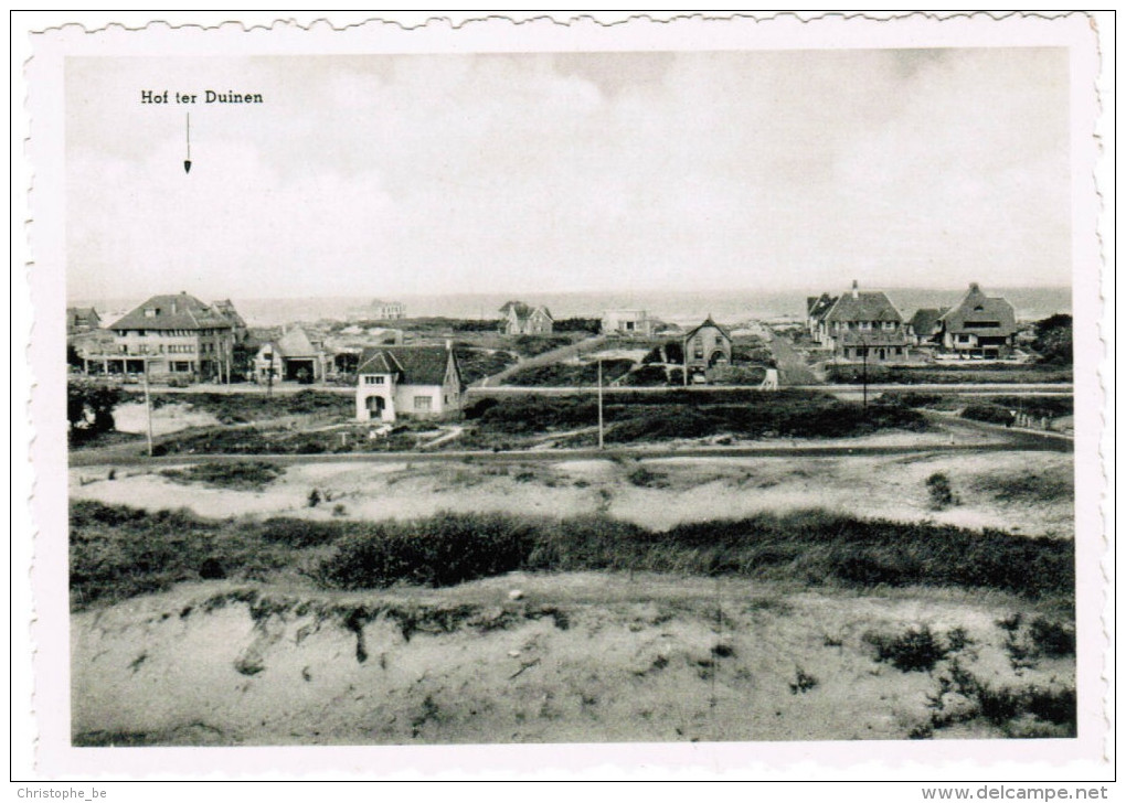 Oostduinkerke, Hof Ter Duinen, Duinpark-Bains, Panorama In Duinpark (pk27207) - Oostduinkerke