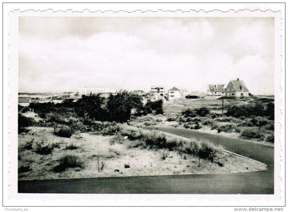 Oostduinkerke, Hof Ter Duinen, Duinpark-Bains, Panorama Du Duinpark (pk27208) - Oostduinkerke