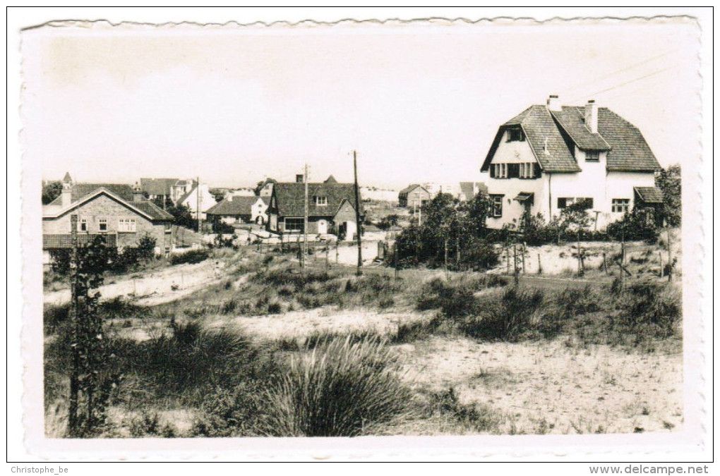 Oostduinkerke Duinpark, Panorama (pk27215) - Oostduinkerke