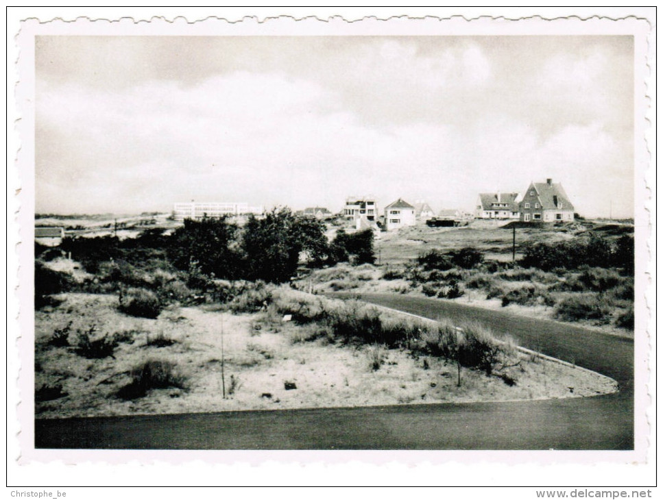 Oostduinkerke Hof Ter Duinen, Panorama Du Duinpark (pk27223) - Oostduinkerke