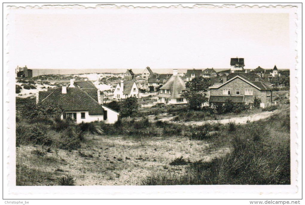 Oostduinkerke Duinpark, Panorama (pk27225) - Oostduinkerke