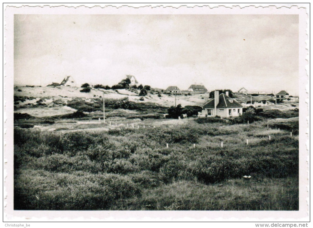 Oostduinkerke Duinpark, Hof Ter Duinen, Panorama Du Duinpark (pk27227) - Oostduinkerke